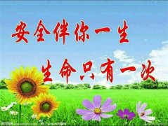 提升安全素养，构建平安校园——乐亭职校开展安全教育系列活动  