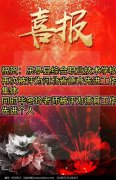 喜讯！乐亭职校荣获“河北省中等职业学校德育工作先进单位”称号