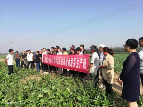 观摩考察学先进 拓宽思路促发展——玉田职教中心组织农民教育培训蔬菜生产班学员赴县内种植示范基地观摩学习
