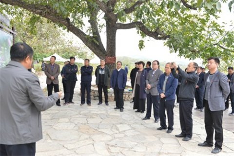 唐山幼儿师范高等专科学校党员干部体验式学习教育：迁西“花乡果巷”、迁安规划展览馆