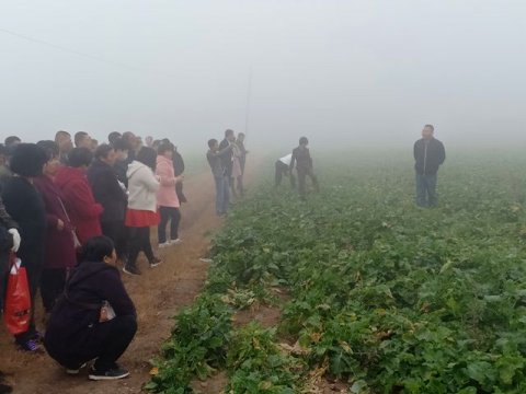 玉田职教中心组织2019年新型农业经营主体带头人培训班学员赴玉田县种植基地参观