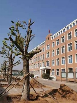 金秋十月，开平职校绿化工程顺利竣工