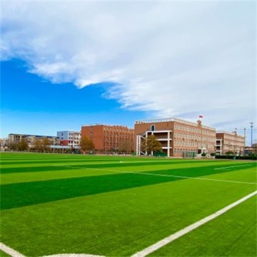 抗击疫情，我们在行动——开平职校“停课不停学”准备工作纪实