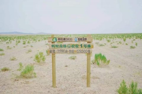 植树节——路南职校师生一起云种树