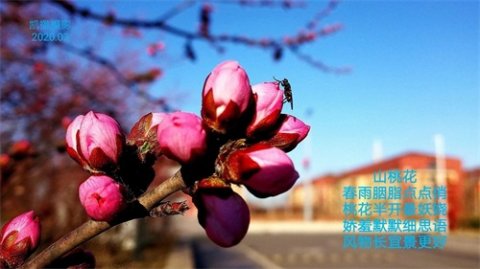 云赏春（一）｜一起感受曹职院春天的气息
