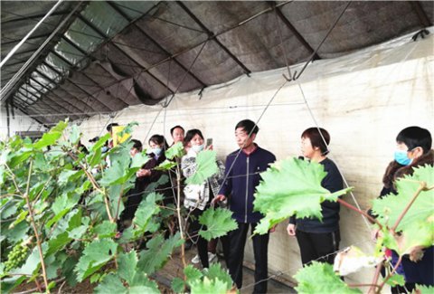 玉田职教中心：典型引路传授经验，观摩交流促进提升