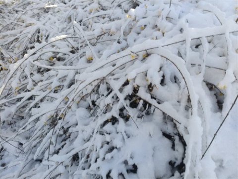 ​停课不停学——开平职校线上教学侧记