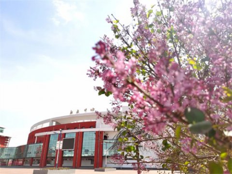 成人高考报名正当时，提升学历成就新梦想——遵化市职教中心培训处