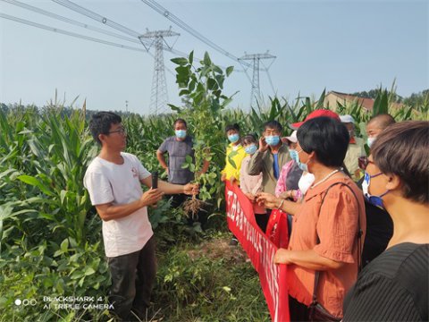 专班培训提素质 专项指导强技能 ——玉田职教中心开展大豆玉米带状复合种植技术培训班现场实践教学活动