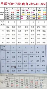 “云”课声色：乐亭职校升学部三年级网课纪实