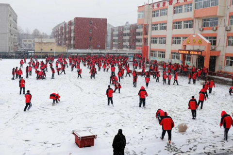 【大美乐职】一片飞来一片寒 雪落成诗绽校园