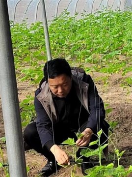 滦南职教中心：农广校全体教师到基地学习黄瓜种植技术
