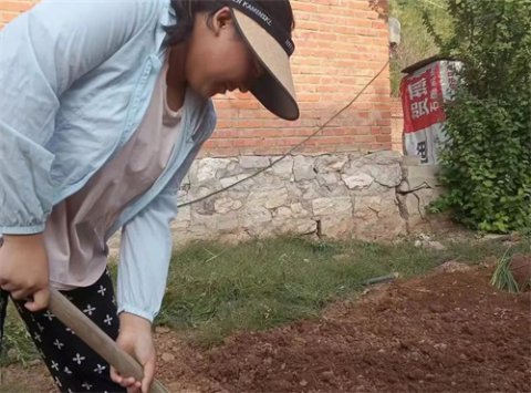 玉田职教中心：劳动我们是认真的