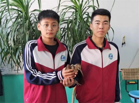 乐亭职校学生暖心救助沙锥鸟