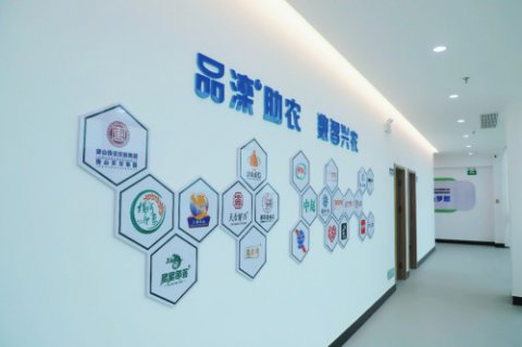 一技在手 一生无忧｜打造“品滦”公共服务品牌，数智赋能乡村振兴