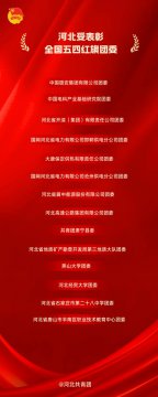 铸魂育匠砺青春  实干争先获荣光——丰南职教中心团委获评全国五四红旗团委