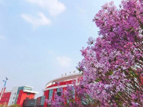 遵化职校“爱祖国・爱家乡・爱校园”党员摄影作品线上展